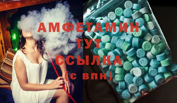 СК Алексин