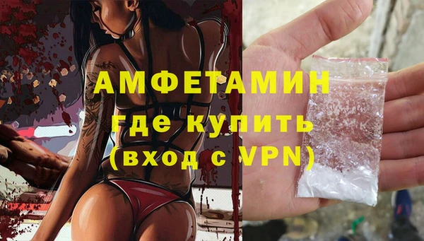 СК Алексин