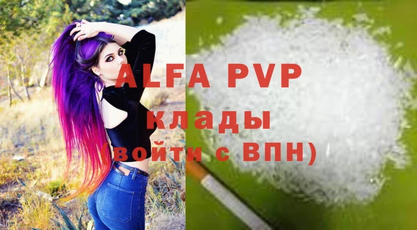СК Алексин