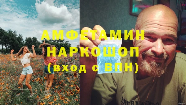 МДПВ Алзамай